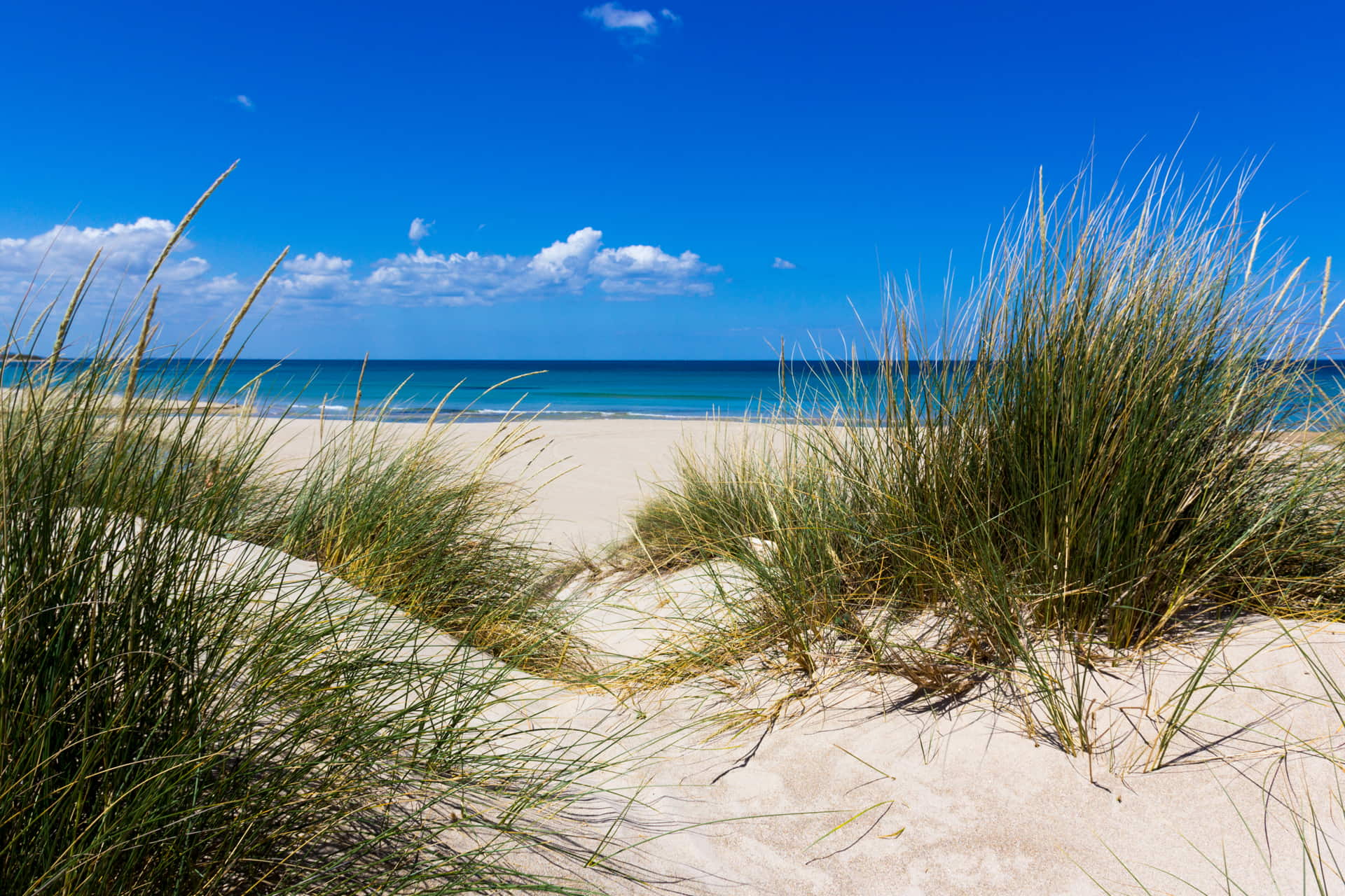 spiaggia